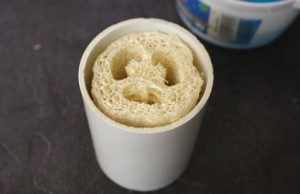 Colocamos bien centrada la Luffa en el molde, sin que toque la parte interior... Colocamos bien centrada la Luffa en el molde, sin que toque la parte interior...