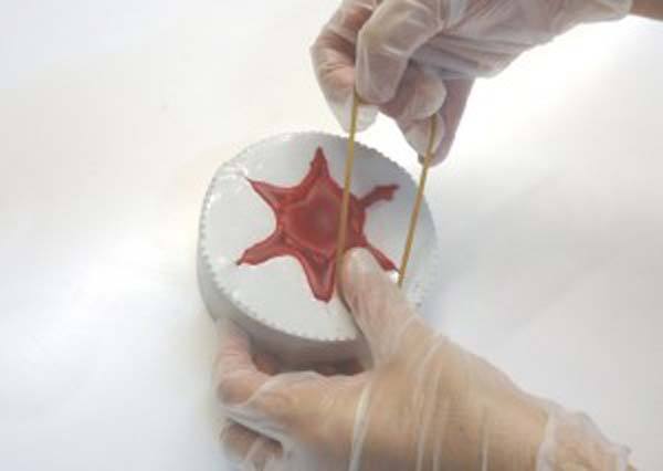 Paso 8 Hacer velas Navideñas Estrella Navidad Paso 8 Hacer velas Navideñas Estrella Navidad