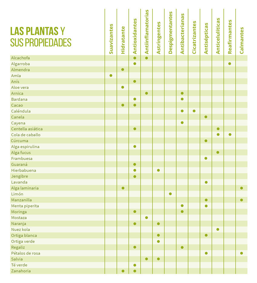 Las plantas y sus propiedades