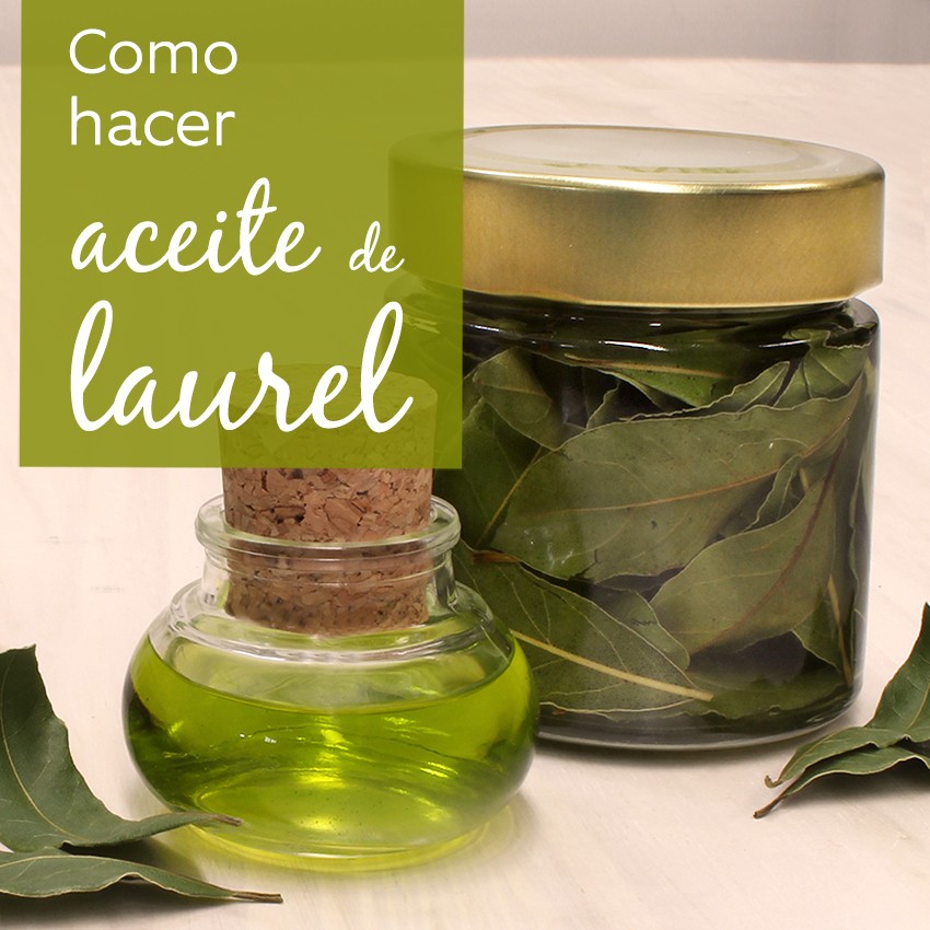 hacer aceite de laurel texto