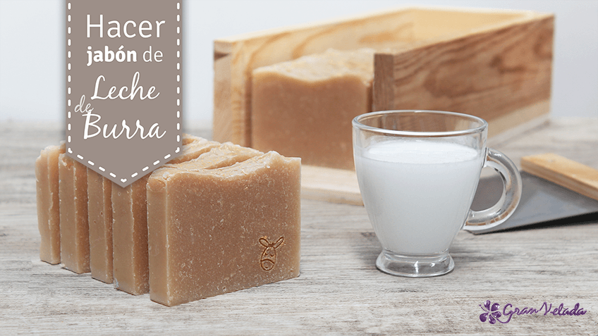 hacer jabon de leche de burra blog