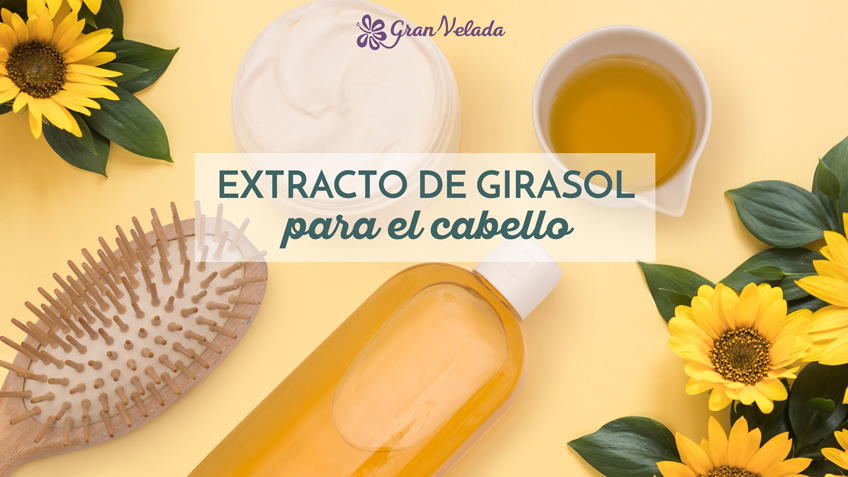 extracto de girasol para el cabello post