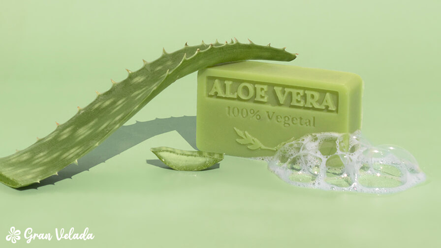 jabon de aloe vera casero 3